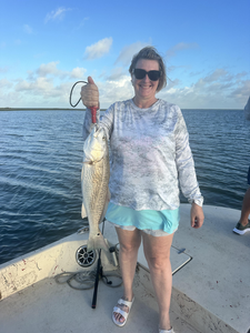 Beautiful Matagorda Bay redfish ready for the photo!
