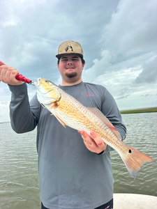Beautiful Matagorda Bay redfish on light tackle!