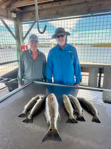 Matagorda Bay redfish and speckled trout success!