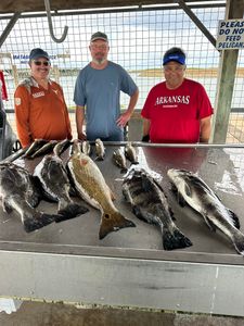 Fresh caught black drum and redfish displayed on cleaning table at Matagorda TX fishing station