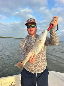 Redfish caught while fishing in Matagorda TX waters
