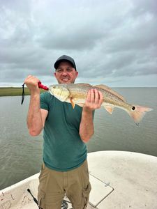 Redfish catch displayed on fishing boat in Matagorda TX waters