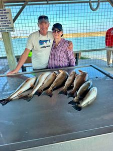 Fresh caught redfish and speckled trout displayed on fish cleaning station in Matagorda TX