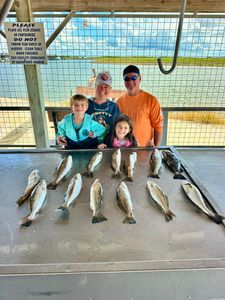 Successful speckled trout fishing trip at fish cleaning station in Matagorda TX with multiple caught fish displayed