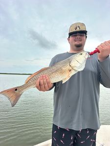 Nice Matagorda Bay redfish on the deck!