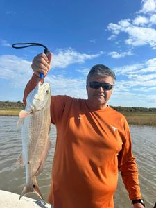 Redfish caught in Matagorda, Texas during fishing trip