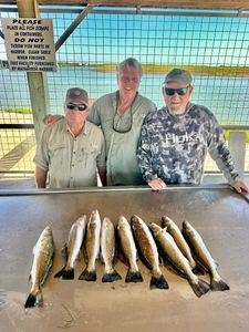 Seven speckled trout displayed on fish cleaning table at Matagorda TX fishing station with three anglers