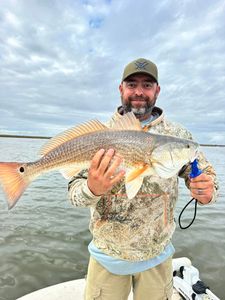 Fisherman with redfish catch in Texas