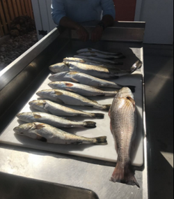 Two anglers fishing in TX