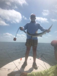 Dusky Smooth-Hound fish caught while fishing in TX