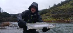 A solid salmon catch in Oregon.