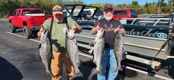 Four fresh Chinook salmon displayed after successful fishing trip in Myrtle Creek Oregon