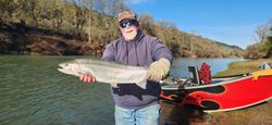 Coho Salmon, a big fish caught in OR during fishing