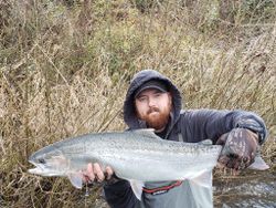 Coho salmon, 25 inches, caught fishing in Myrtle Creek