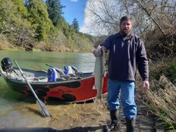 Grayling fish caught in Myrtle Creek