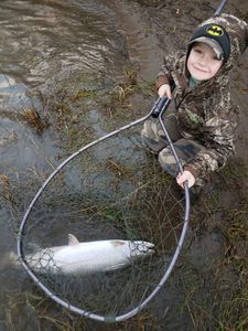 Muskellunge caught while fishing in OR