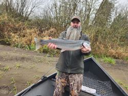 A fisherman holding a large bull trout in Myrtle Creek