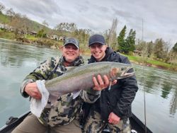 Photograph of a beautiful pink salmon caught in Myrtle Creek