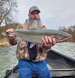 Rainbow trout caught in Myrtle Creek during fishing