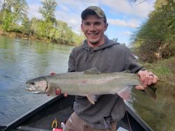 Rainbow trout, 23 inches long, caught in Myrtle Creek
