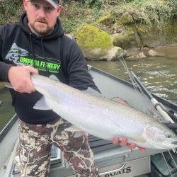 Large rainbow trout caught fishing in Myrtle Creek OR displayed in aluminum boat