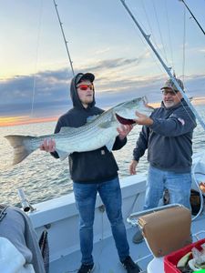 Amazing Bass catch of the day!#BelmarNJ