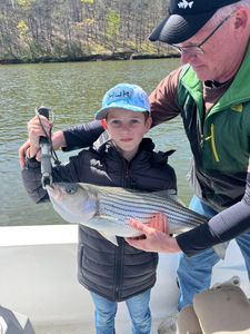 Striped bass caught while fishing in Cumming GA