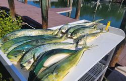 two fishermen cruising and fishing in FL