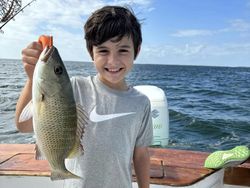 Catch of the day: Grey Snapper