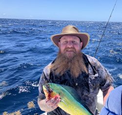 A Mahi Mahi or Common Dolphinfish caught while fishing in FL