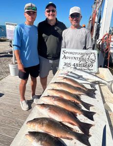 4 big fish caught while fishing in FL
