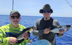 Two yellowfin tuna caught while fishing in FL