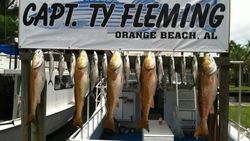 Anglers catching 6 fish during a fishing cruise in Orange Beach