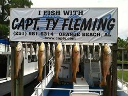 Five fish caught during a cruises, fishing, and tours excursion in Orange Beach