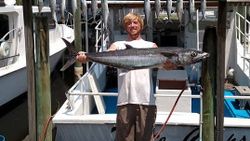 A photo of a king mackerel, a 35-inch fish caught while fishing in Orange Beach.