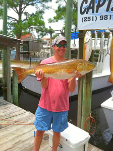 A happy angler holds a large fish in the waters of Orange Beach