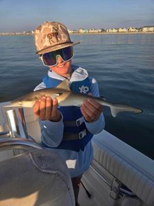 Fisherman with Atlantic Sharpnose Shark caught in South Carolina