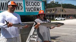 Two Spanish mackerel and king mackerel fish caught in Murrells Inlet