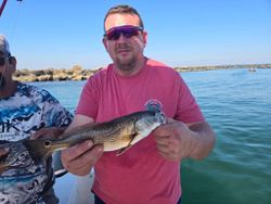 Redfish caught while fishing in SC