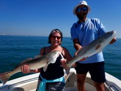 Two redfish caught while fishing in SC