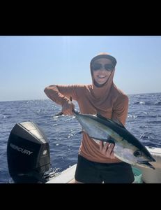 Dogtooth tuna, 17 inches, fishing in location 33036