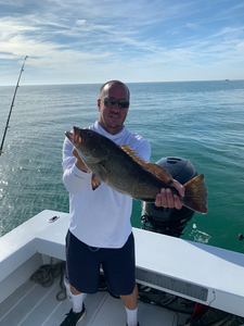 Gag grouper caught while fishing