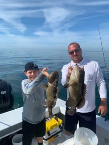 Two gag grouper fishing in Florida