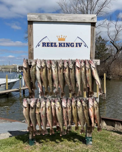 6 fish caught in Monroe while fishing