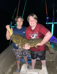Fish-Species