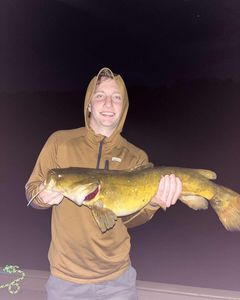 Susquehanna River's top catches with Captain Hauck