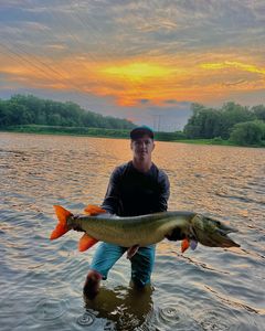 Fish-Species