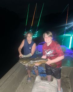 Fish-Species