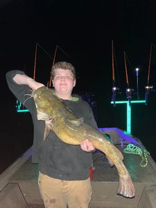 Catching giants with Captain Hauck