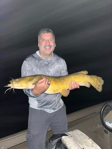 Susquehanna River's finest fish with Captain Hauck